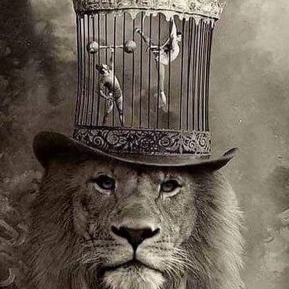 Meet your Posher, James - Picture 1 of 1